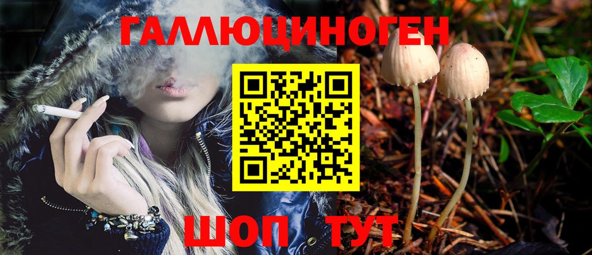 Галлюциногенные грибы Psilocybine cubensis Верхний Уфалей